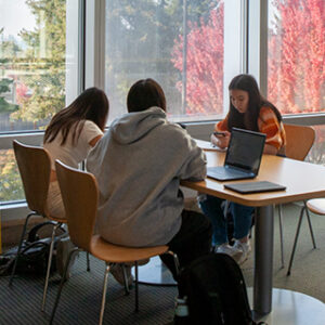 Students work on laptops at a table.