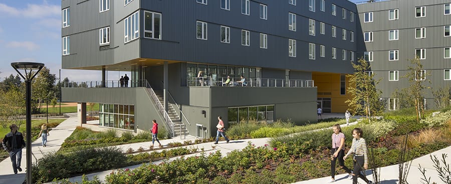 Students outdoor in couryard raingarden.