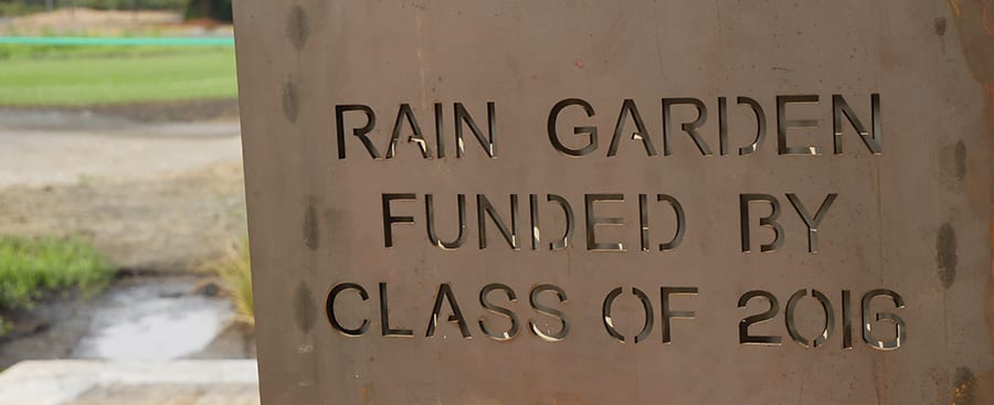 Rain garden was funded by class of 2016.