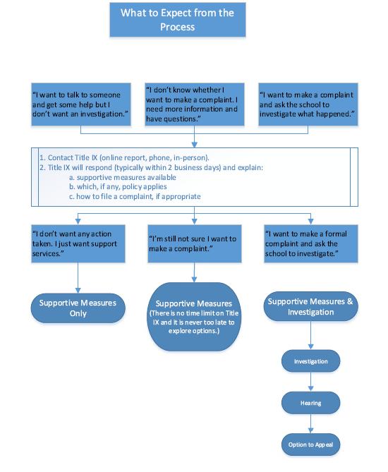 Flow chart for the Title IX process.