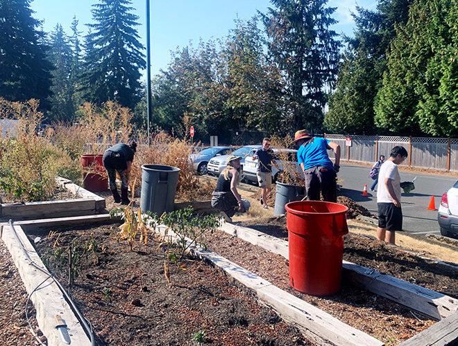 A team of gardeners works in the BC community garden plot.