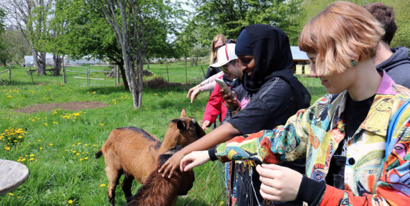 Students pet a goat outside.