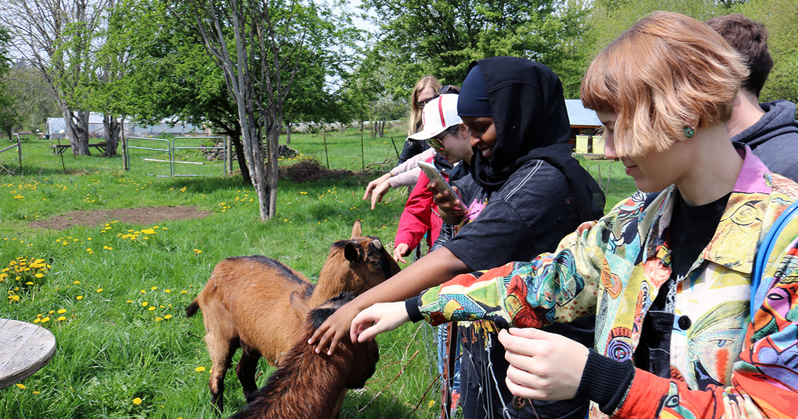 Students pet a goat outside.
