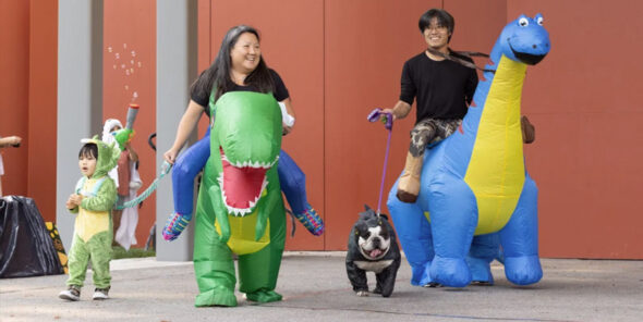 A family wears dinosaur costumes while walking.