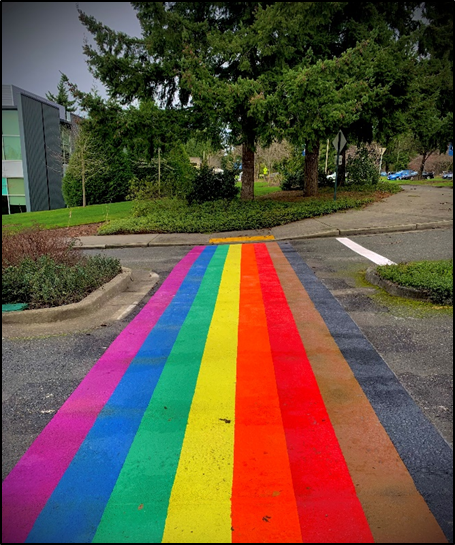 The rainbow crosswalk is painted on the asphalt of the road in long bars of color: purple, blue, green, yellow, orange, red, brown, and black. Planter medians filled with short shrubs and mosses divide the lanes and hug the sides of the crosswalk. The crosswalk leads to a sidewalk with short shrubs and evergreen trees along the edge opposite the road.