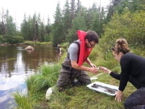 Two environmental scientists collect samples at a field site near a lake