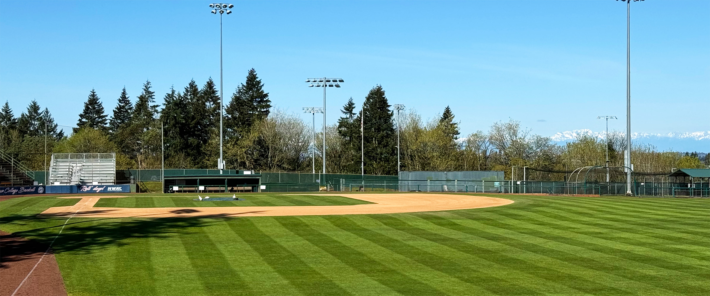 picture of BC Baseball Field