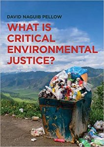 What is critical environmental justice book picture