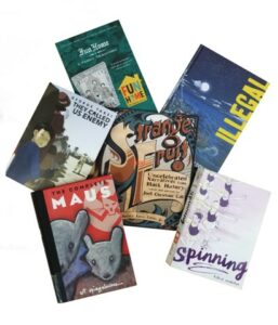 Graphic novels