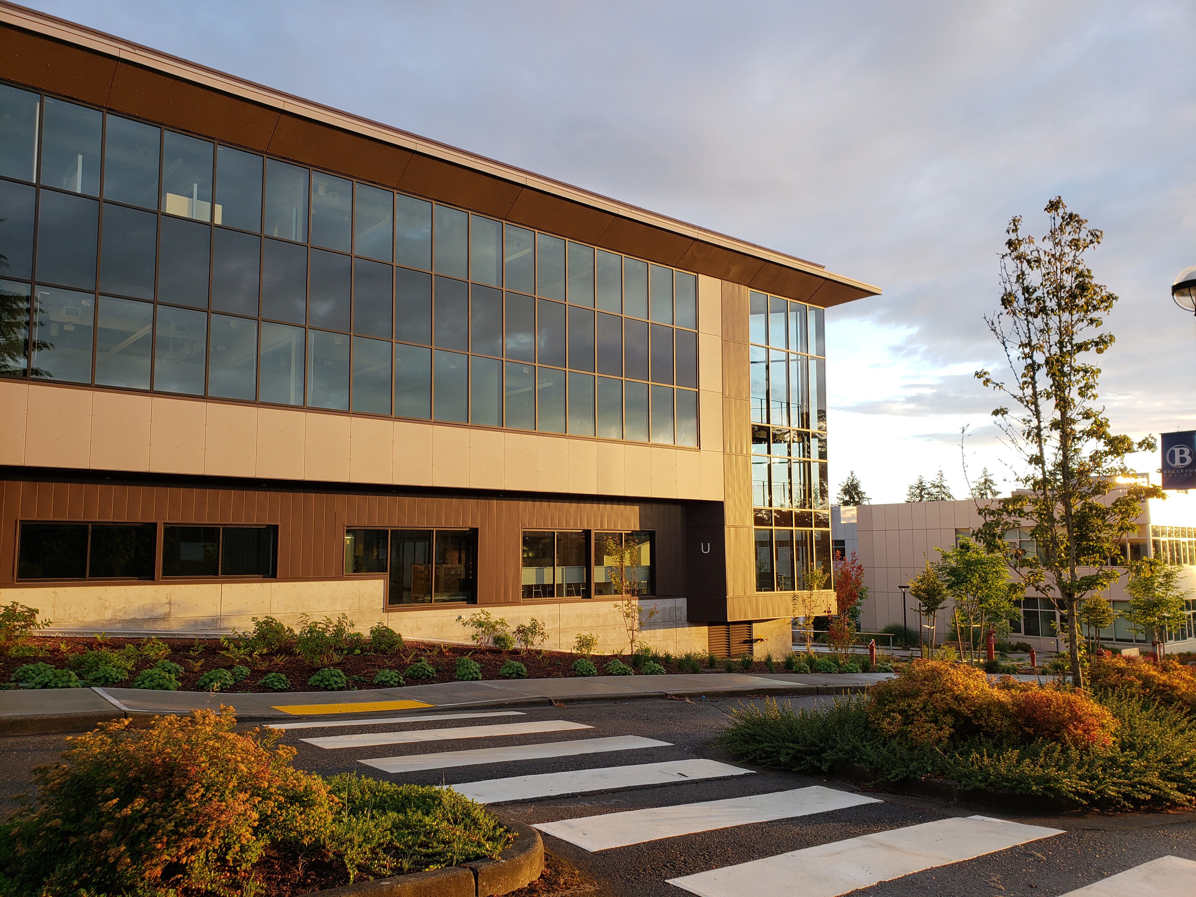 Building with lots of glass and a crosswalk with bushes and trees lining it.