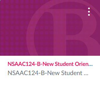 Pink box with the words NSAAC124-B-New Student Orientation