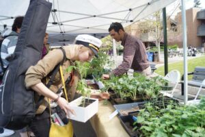 Showcasing our farmers market plant sale