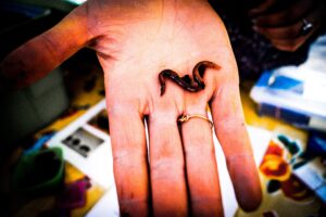 Showcasing a worm on a hand