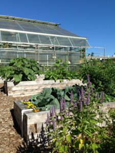 Bellevue College Greenhouse and Garden image