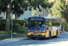 Metro bus at a bus stop