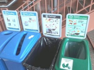 Bellevue College Recycling bins in a row