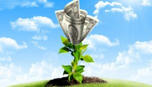 Photo of green plant coming out of the ground with money blossoming and a blue sky behind it