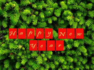 Tree needles background with Happy New Year in red letters