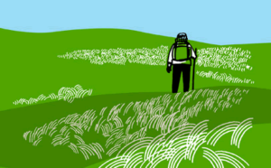 Man walking through green field