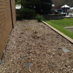 BC flower bed ready to replant with native plants