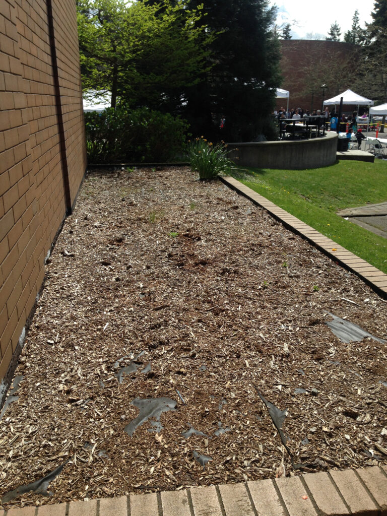 BC flower bed ready to replant with native plants