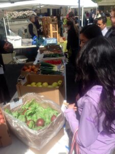 Buying Produce at Market