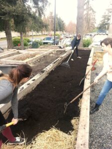 Bellevue College students plant the new student garden