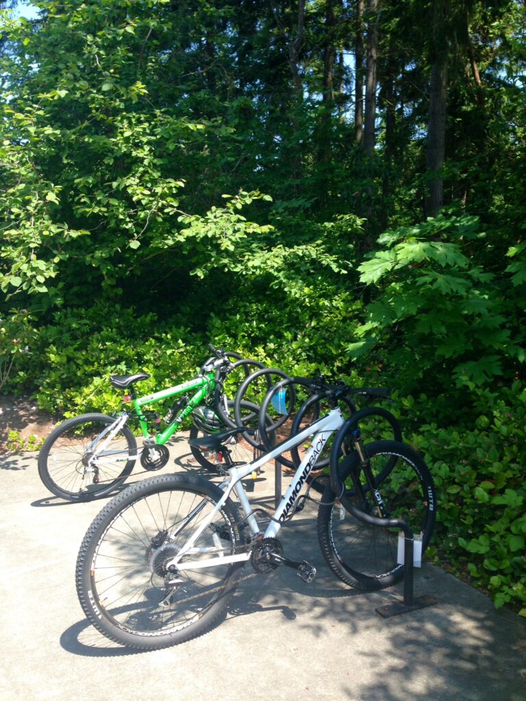 Mountain bikes on the Bellevue College campus