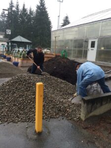 gardening at the plant beds