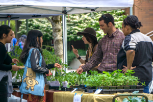 Farmers-market-Plant-sales-cropped