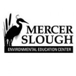 mercer logo