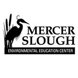 mercer logo