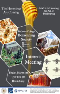 bee poster