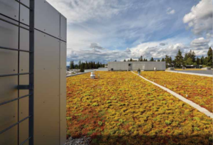 Image of the T Building's Green Roof.