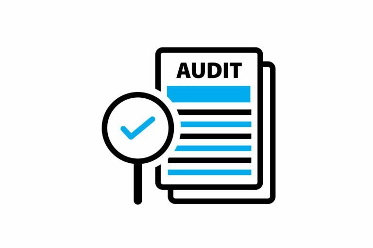 audit vector graphic icon