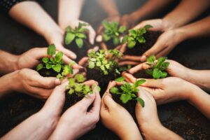 hands holding plants