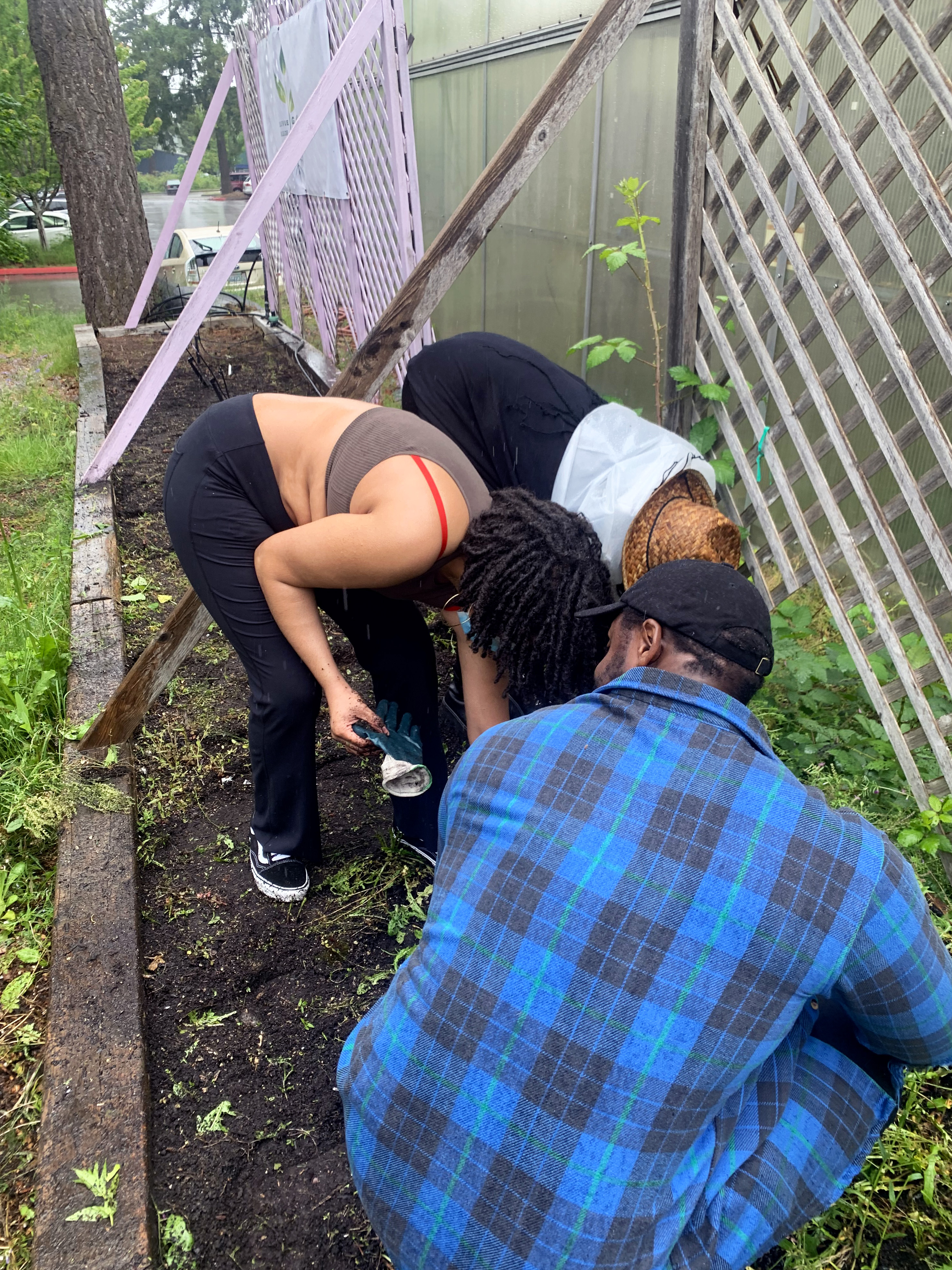 group of students prepping the garden