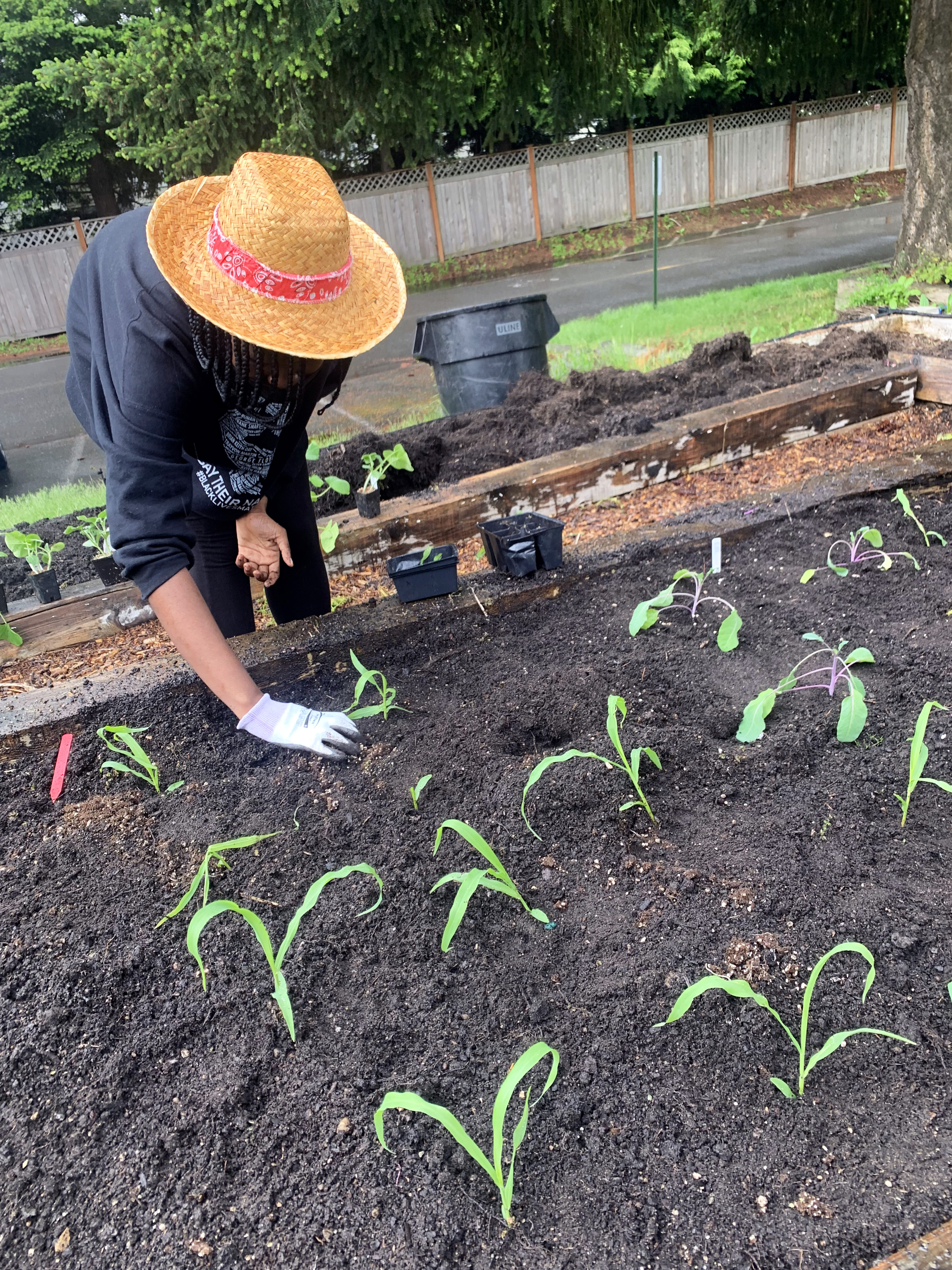 a student planting in the garden