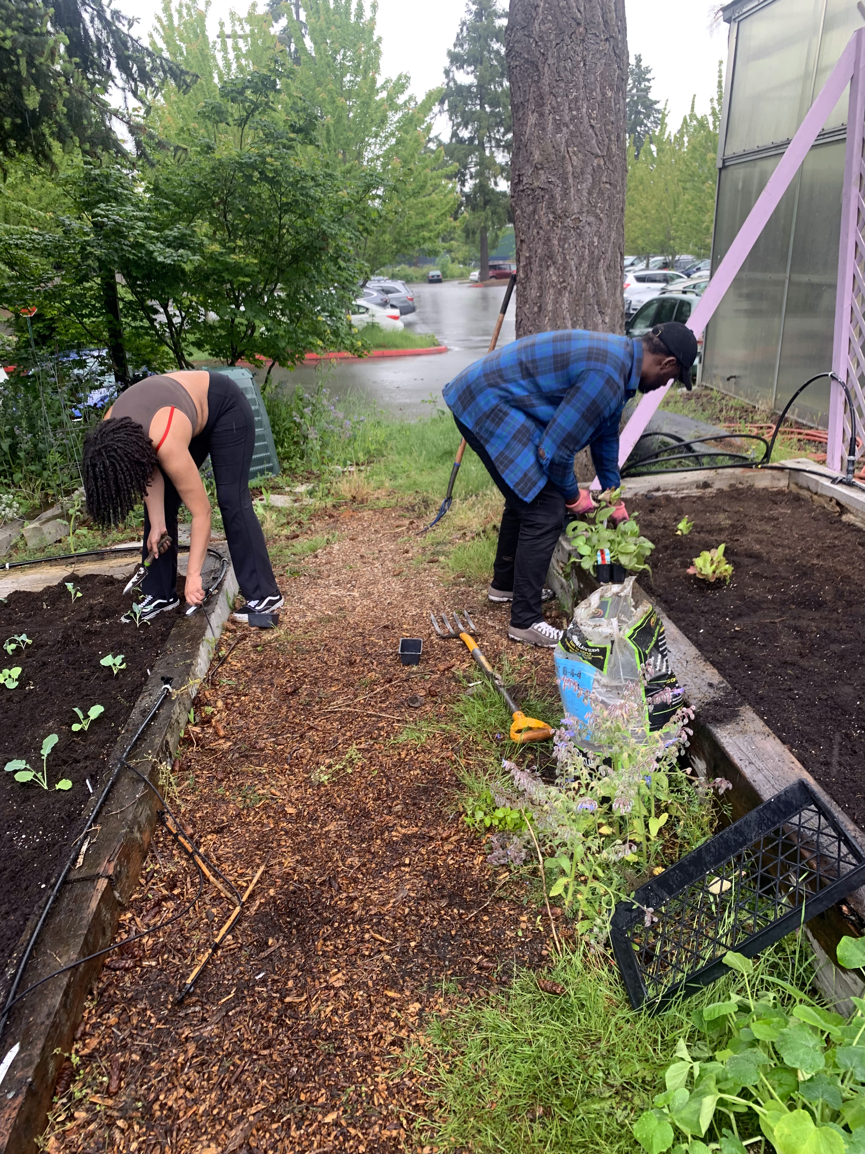 two students planting side by side