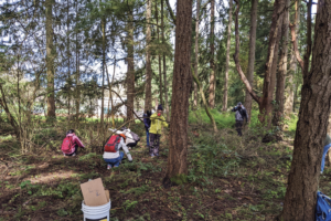 Students and the office of sustainability staff weeding at the robinswood park