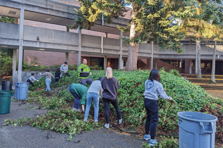 Grounds crew and a group of students pulling ivy on campus