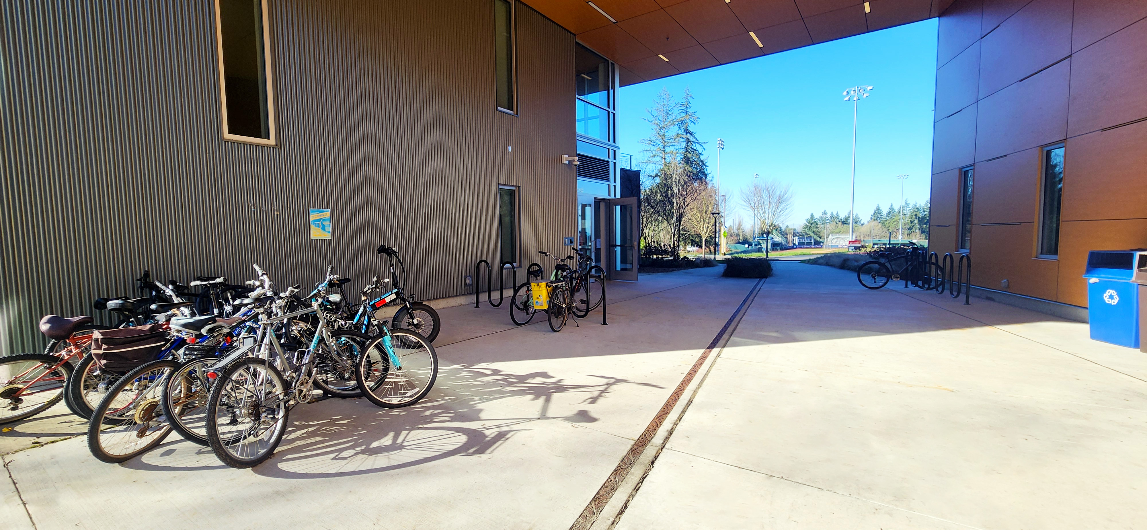 bike racks and bikes at student housing