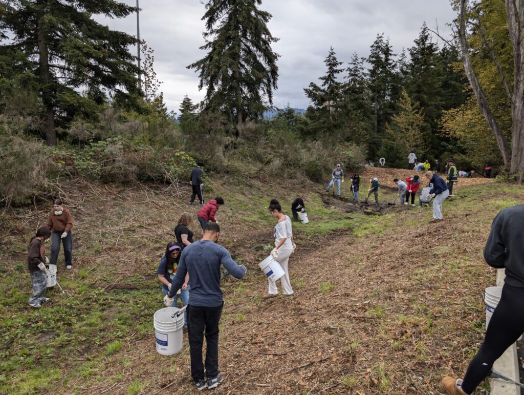 Clearing swale for burrito