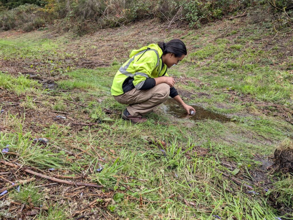 Collecting water samples