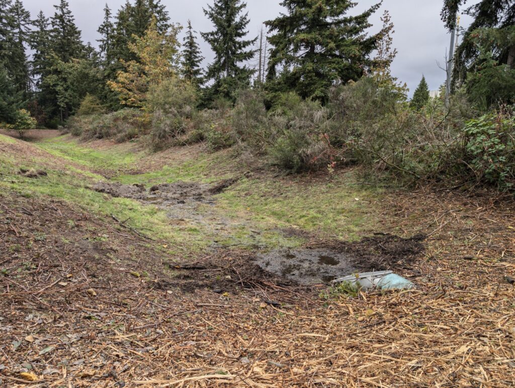 Swale without compost BURrito