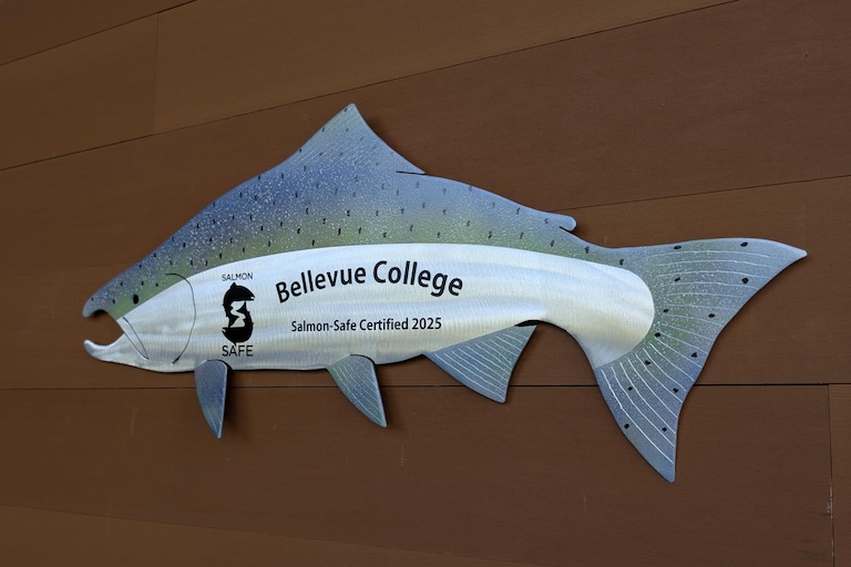 Salmon Safe plaque