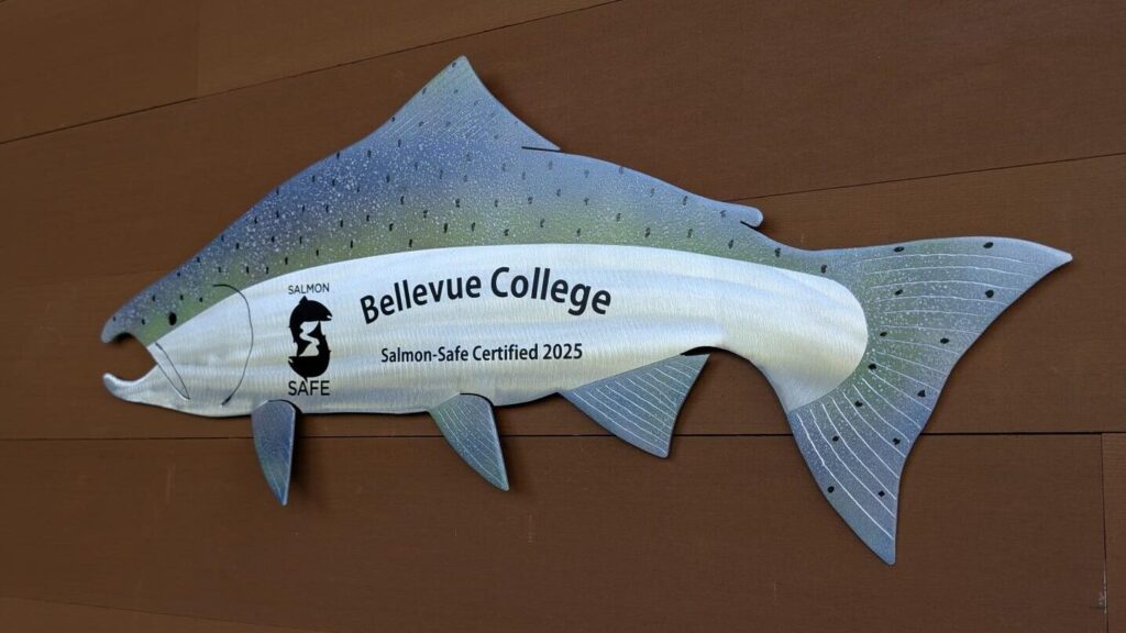 Salmon safe plaque