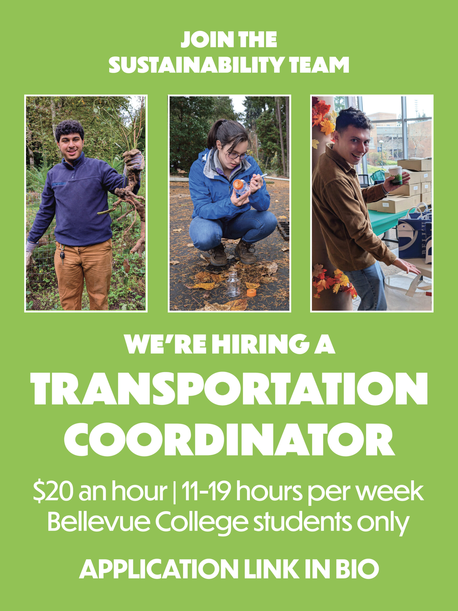 Three sustainability workers. One holding a root, one doing research and another tabeling.