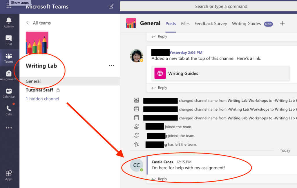 Screen capture that shows example of where students should type their message.