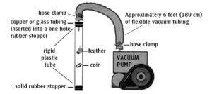 Feather and coin apparatus